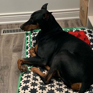 Meet your Posher, Mike